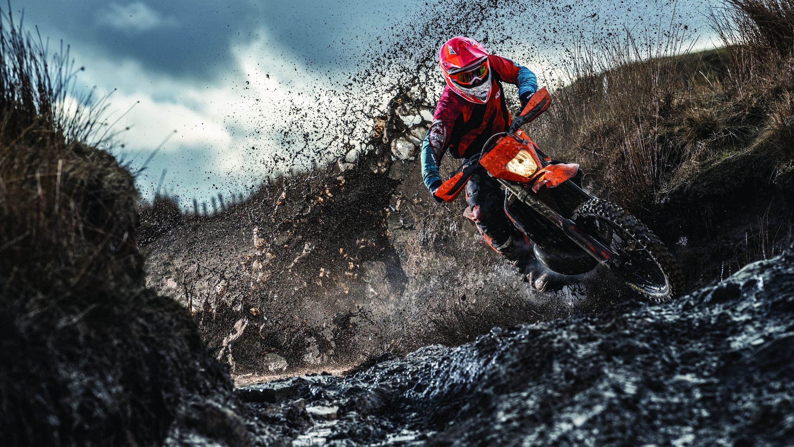 《Apex Legends》上线新合作皮肤,联动内容丰富,apex联名皮肤