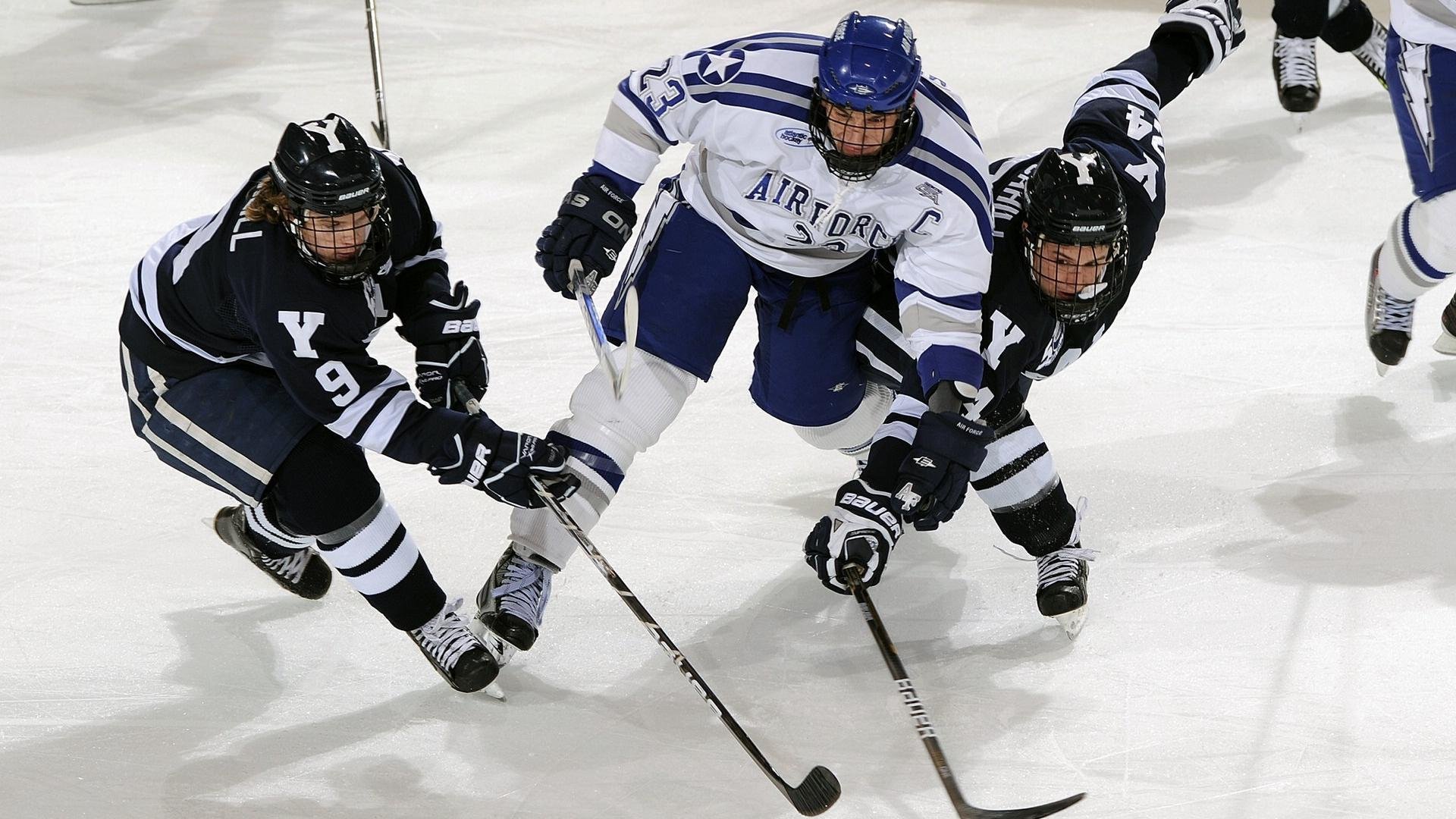 体育焦点数据榜单公布，体育热点查询